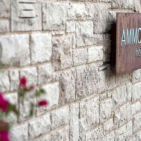 Ammos فندق