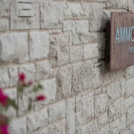 Hotell Ammos